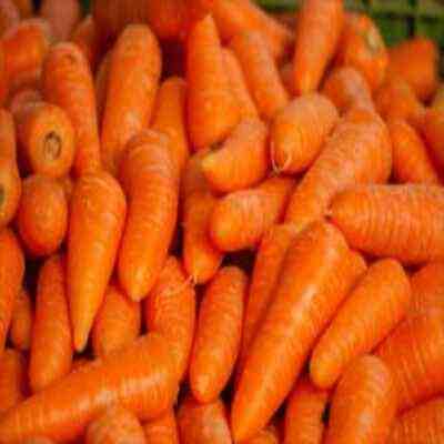 1 Lb De Zanahoria